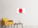 Leinwandbild 3-teilig Roter Weihnachtsstern