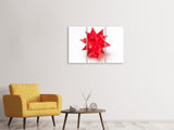 Leinwandbild 3-teilig Roter Weihnachtsstern