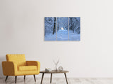 Leinwandbild 3-teilig Endlich Winter