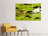 Leinwandbild 3-teilig Der Frosch und die Seerose