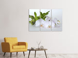 Leinwandbild 3-teilig Orchidee und Bambus