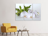Leinwandbild 3-teilig Orchidee und Bambus