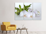 Leinwandbild 3-teilig Orchidee und Bambus