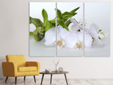 Leinwandbild 3-teilig Orchidee und Bambus