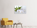 Leinwandbild 3-teilig Orchidee und Bambus