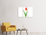 Leinwandbild 3-teilig Die stolze Tulpe