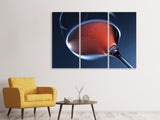 Leinwandbild 3-teilig Ein Glas Rose