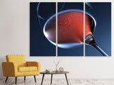 Leinwandbild 3-teilig Ein Glas Rose
