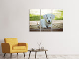 Leinwandbild 3-teilig Süsses Hunde Baby