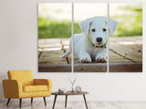 Leinwandbild 3-teilig Süsses Hunde Baby