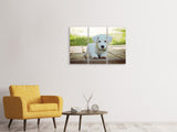 Leinwandbild 3-teilig Süsses Hunde Baby