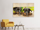 Leinwandbild 3-teilig 2 Rottweiler Welpen