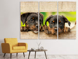 Leinwandbild 3-teilig 2 Rottweiler Welpen