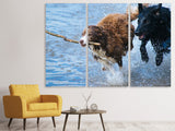 Leinwandbild 3-teilig Spielende Hunde