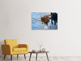 Leinwandbild 3-teilig Spielende Hunde