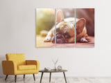 Leinwandbild 3-teilig Müde Bulldogge