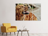 Leinwandbild 3-teilig Wachsamer Irish Setter