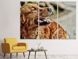 Leinwandbild 3-teilig Wachsamer Irish Setter