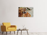 Leinwandbild 3-teilig Wachsamer Irish Setter