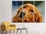 Leinwandbild 3-teilig Treuer Irish Setter