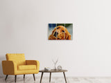 Leinwandbild 3-teilig Treuer Irish Setter