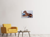 Leinwandbild 3-teilig Eleganter Irish Setter