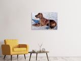 Leinwandbild 3-teilig Eleganter Irish Setter