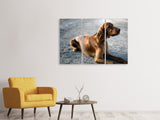 Leinwandbild 3-teilig Der Irish Setter