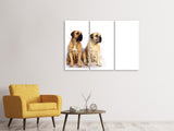 Leinwandbild 3-teilig 2 Mastiffs