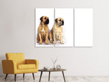 Leinwandbild 3-teilig 2 Mastiffs