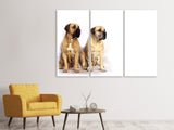 Leinwandbild 3-teilig 2 Mastiffs