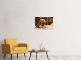 Leinwandbild 3-teilig Trauriger Hundeblick