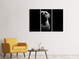 Leinwandbild 3-teilig Der Boerboel sw