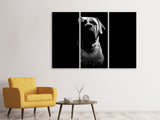 Leinwandbild 3-teilig Der Boerboel sw