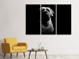 Leinwandbild 3-teilig Der Boerboel sw