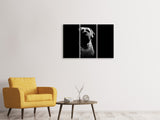 Leinwandbild 3-teilig Der Boerboel sw