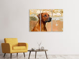 Leinwandbild 3-teilig Wachsamer Rhodesian Ridgeback