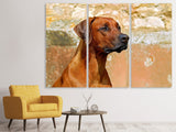 Leinwandbild 3-teilig Wachsamer Rhodesian Ridgeback