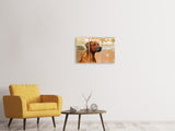 Leinwandbild 3-teilig Wachsamer Rhodesian Ridgeback