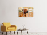 Leinwandbild 3-teilig Wachsamer Rhodesian Ridgeback