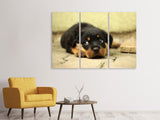 Leinwandbild 3-teilig Süsse Rottweiler Welpe