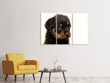 Leinwandbild 3-teilig Rottweiler Welpe zum Verlieben