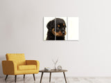 Leinwandbild 3-teilig Rottweiler Welpe zum Verlieben