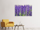 Leinwandbild 3-teilig XL Lavendel