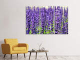 Leinwandbild 3-teilig XL Lavendel