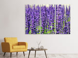 Leinwandbild 3-teilig XL Lavendel