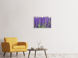 Leinwandbild 3-teilig XL Lavendel