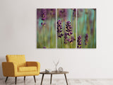 Leinwandbild 3-teilig Lavendel in XL