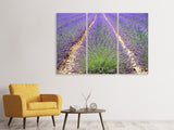 Leinwandbild 3-teilig Das Lavendel Feld