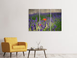Leinwandbild 3-teilig Mohn im Lavendel